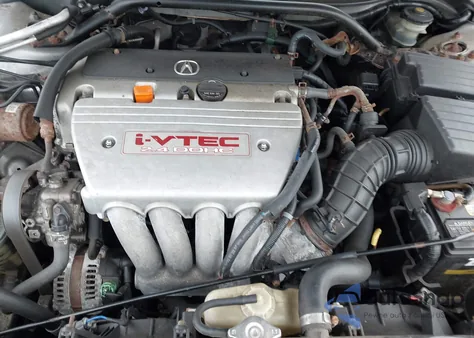 2008 Acura Tsx z USA, uszkodzony, nr VIN JH4CL96908C000832